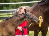 kissribbon